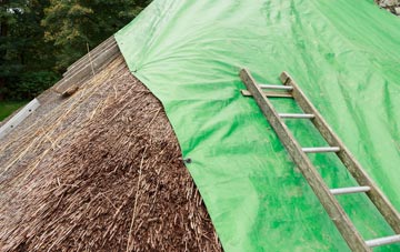 maintaining Hestwall thatch